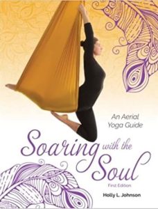 Aerial yoga gifts book