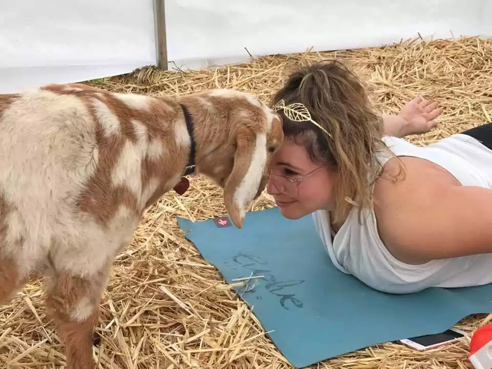 Goat yoga benefits