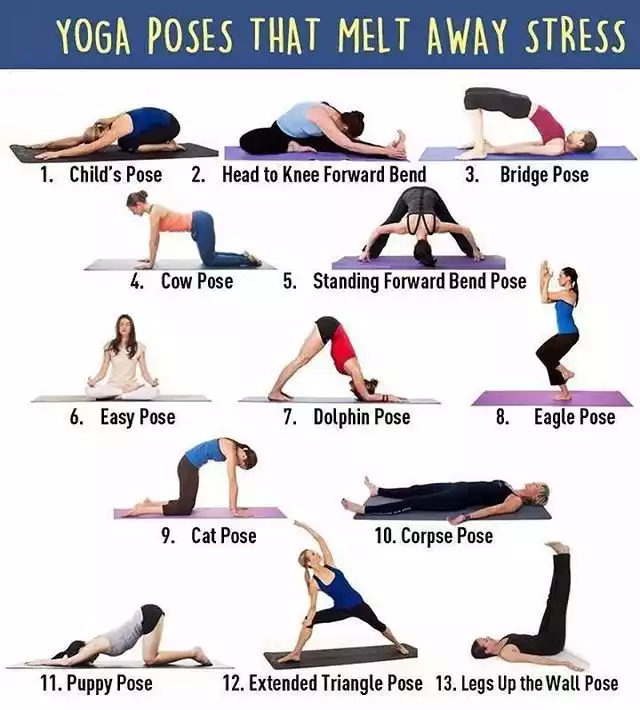 which yoga is best for stretching